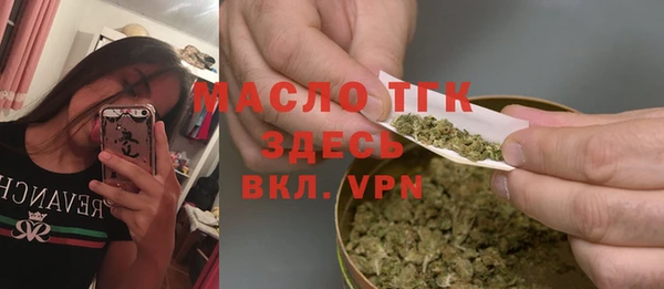 дживик Надым