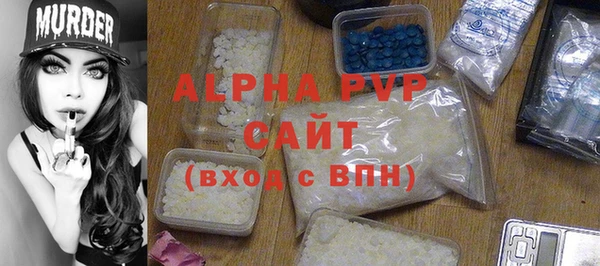 ПСИЛОЦИБИНОВЫЕ ГРИБЫ Михайлов