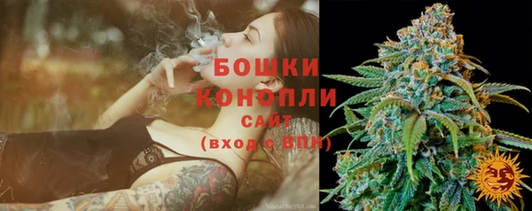 ПСИЛОЦИБИНОВЫЕ ГРИБЫ Михайлов