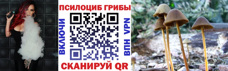 Псилоцибиновые грибы Magic Shrooms  Купить  Узловая 